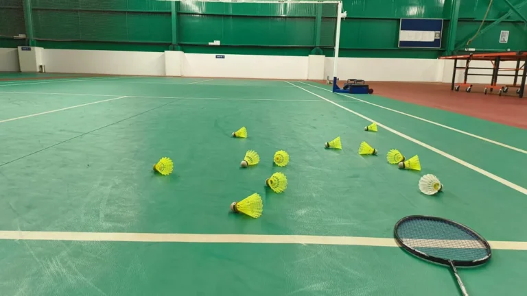 Raquette et volants disposés sur un terrain de badminton