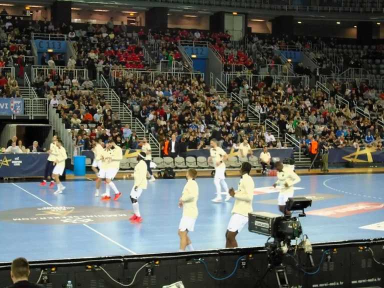 Rencontre de handball du Paris Saint-Germain