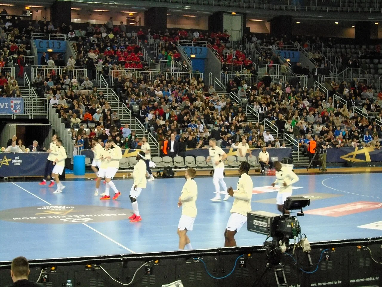 Rencontre de handball du Paris Saint-Germain