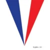 Guirlande France — 10 fanions, 5 mètres